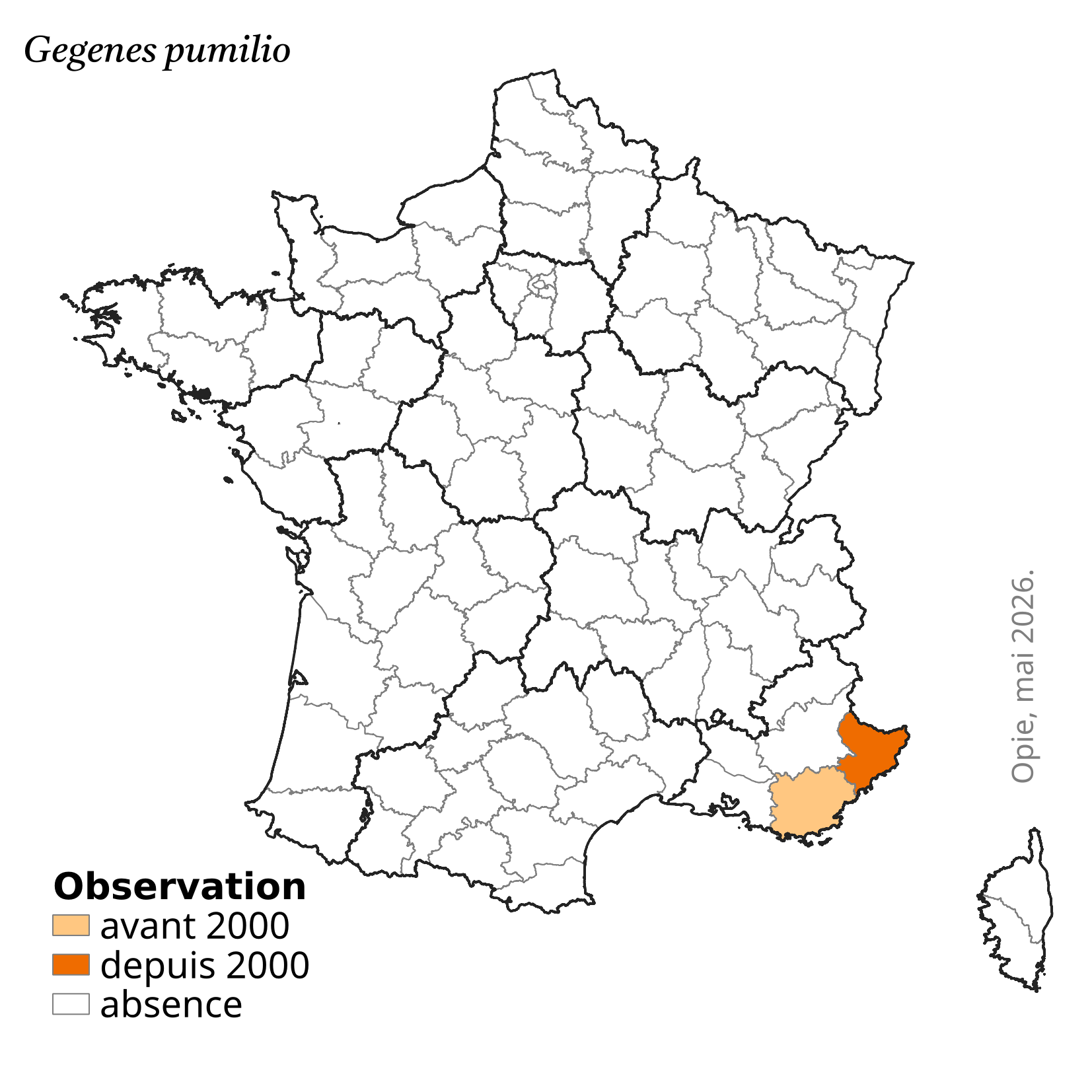Carte de répartition de Gegenes pumilio